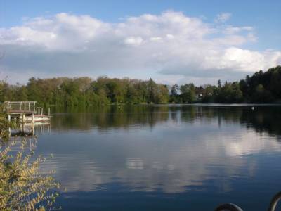 Fahrradtour Steilinger See und Wiechs - 