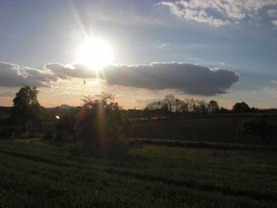 Fahrradtour Steilinger See und Wiechs - 