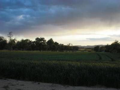 Fahrradtour Steilinger See und Wiechs - 