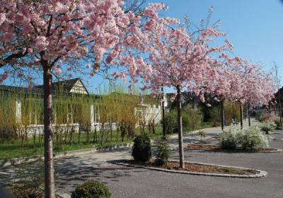 Landschaftsbilder - Kindergarten